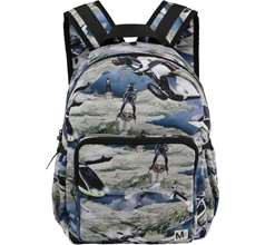 Big backpack Bags & Containers